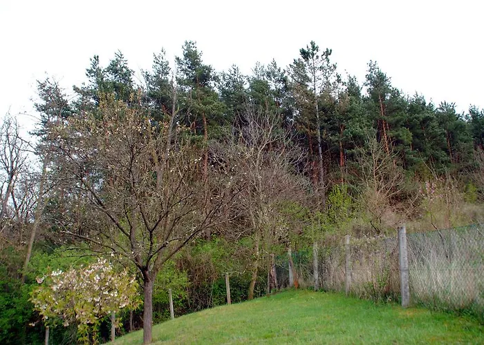 Erdőszéli Házikó Apartamento